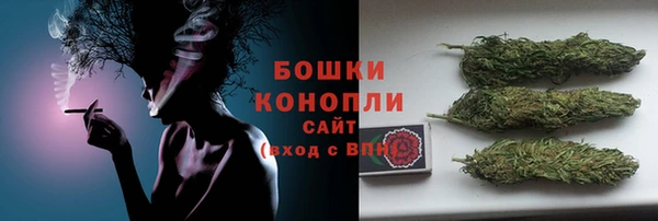 сатива Медногорск