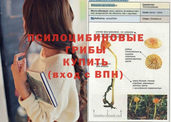 бутират Медвежьегорск