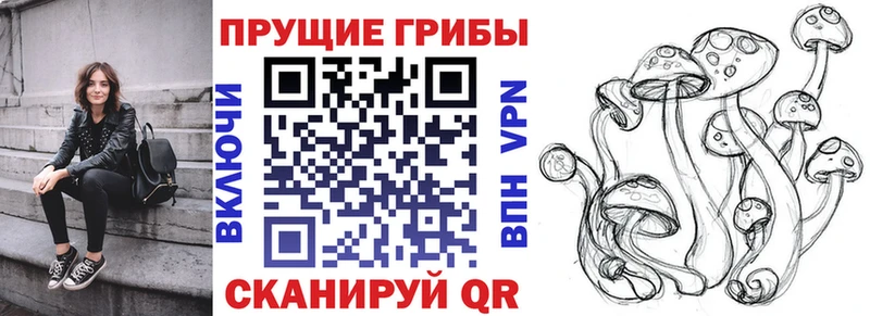 Псилоцибиновые грибы MAGIC MUSHROOMS  закладки  Юрюзань 